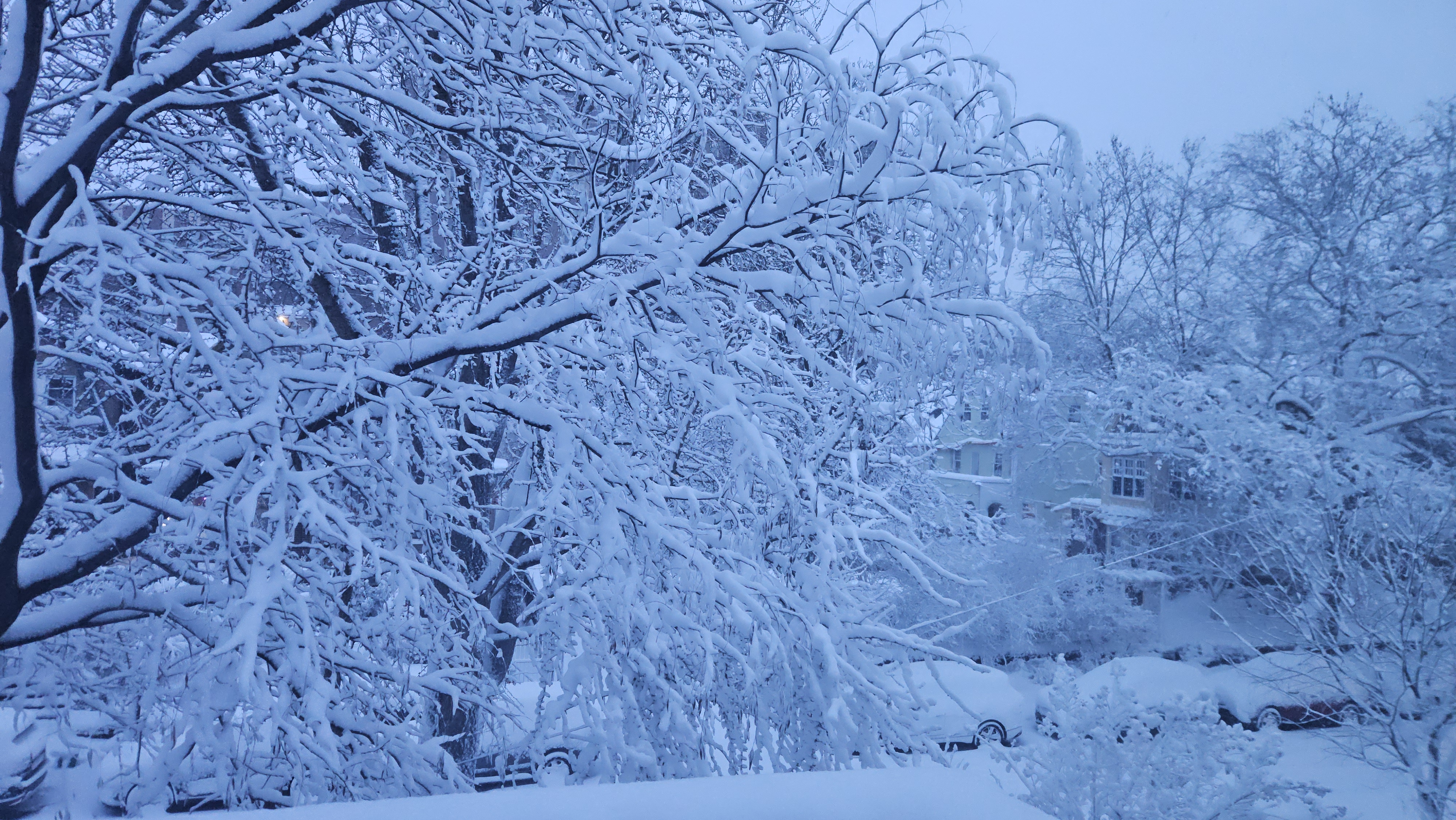 Winter