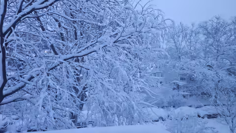 Winter