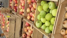 Apples at Farmers Market
